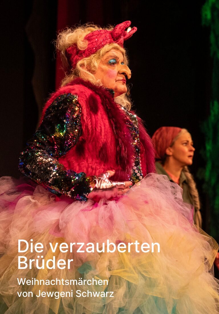 Die verzauberten Brüder